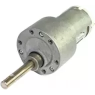 Johnson High Torque Geared Motor 10 RPM Grade Gold