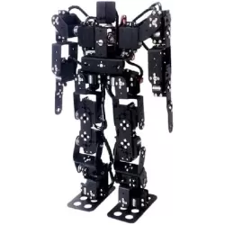 17 DOF Bipedal Humanoid DIY Robot
