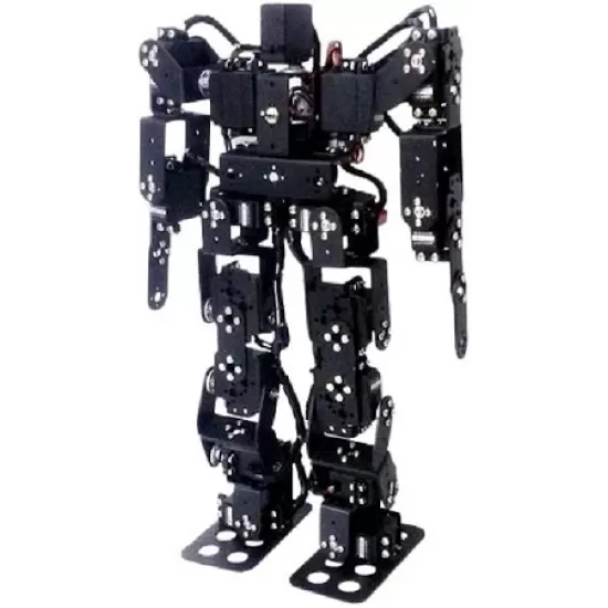 17 DOF Bipedal Humanoid DIY Robot