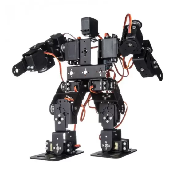 17 DOF Bipedal Humanoid DIY Robot